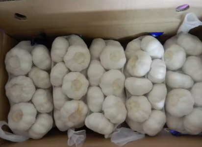 大蒜